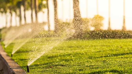 Arrosage automatique