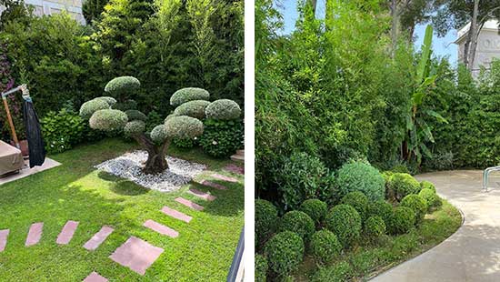 Création de jardins