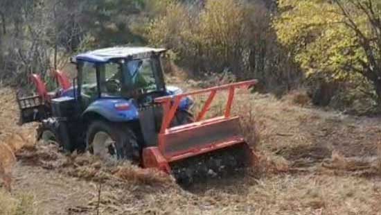 Débroussaillage à Nice