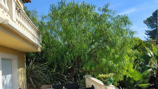 La taille de formation