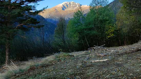 Débroussaillement pour l’accessibilité des territoires