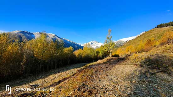 Débroussaillement de fortes pentes
