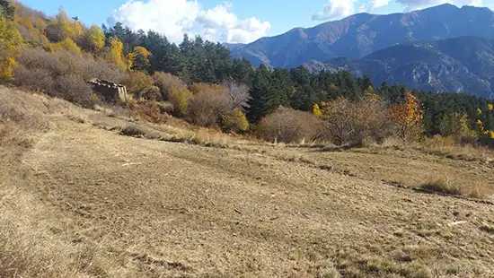 Débroussaillement en montagne