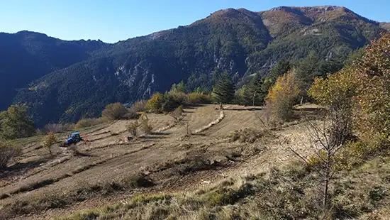Débroussaillement de fortes pentes