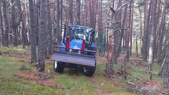 Débroussaillement en foret